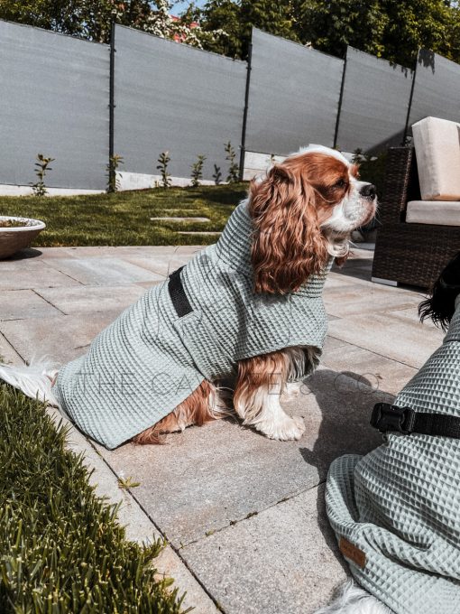 Mind mandalay robes for dogs