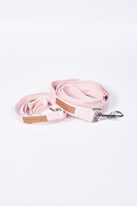 POWDER DOTTS Leash