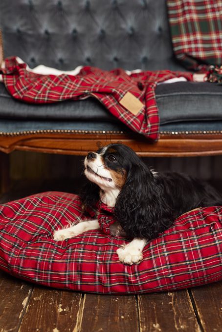 royal stewart BED FOR DOGS