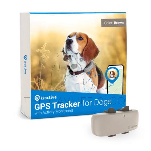 Tractive GPS DOG 4 Nyomkövető és Aktivitásmérő kutyáknak - kávé