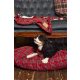 royal stewart BED FOR DOGS