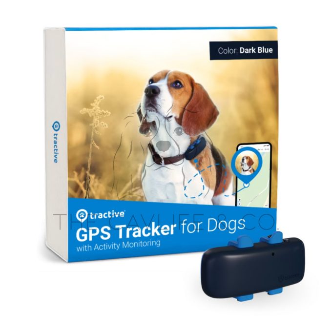 Tractive GPS DOG 4 Nyomkövető és Aktivitásmérő kutyáknak - kék