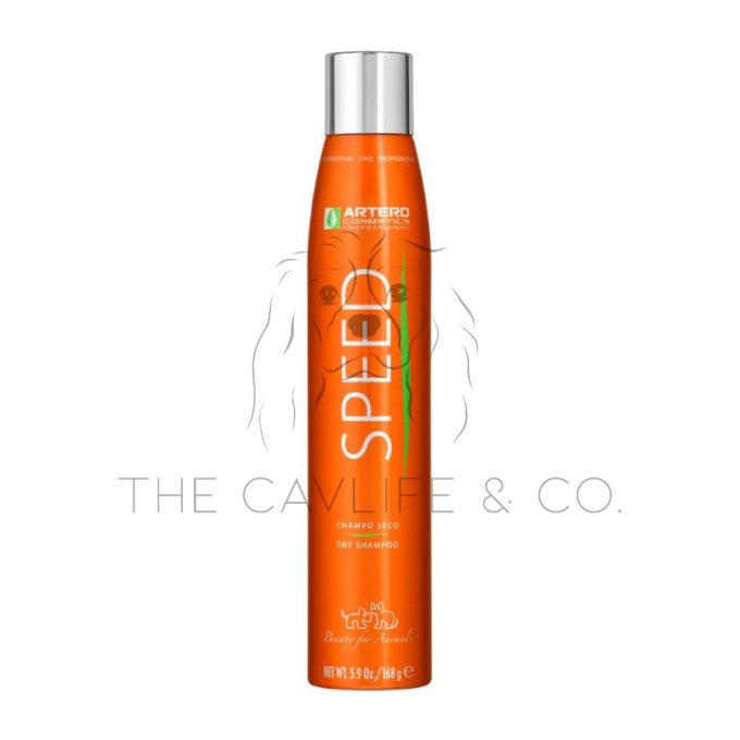 Artero DRY SHAMPOO