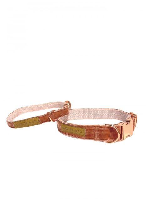 ROSE GOLD VELVET COLLAR FOR DOGS 